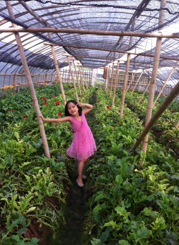 Here I am again in the garden, wearing a purple dress. But don’t I look very stylish in this photo?