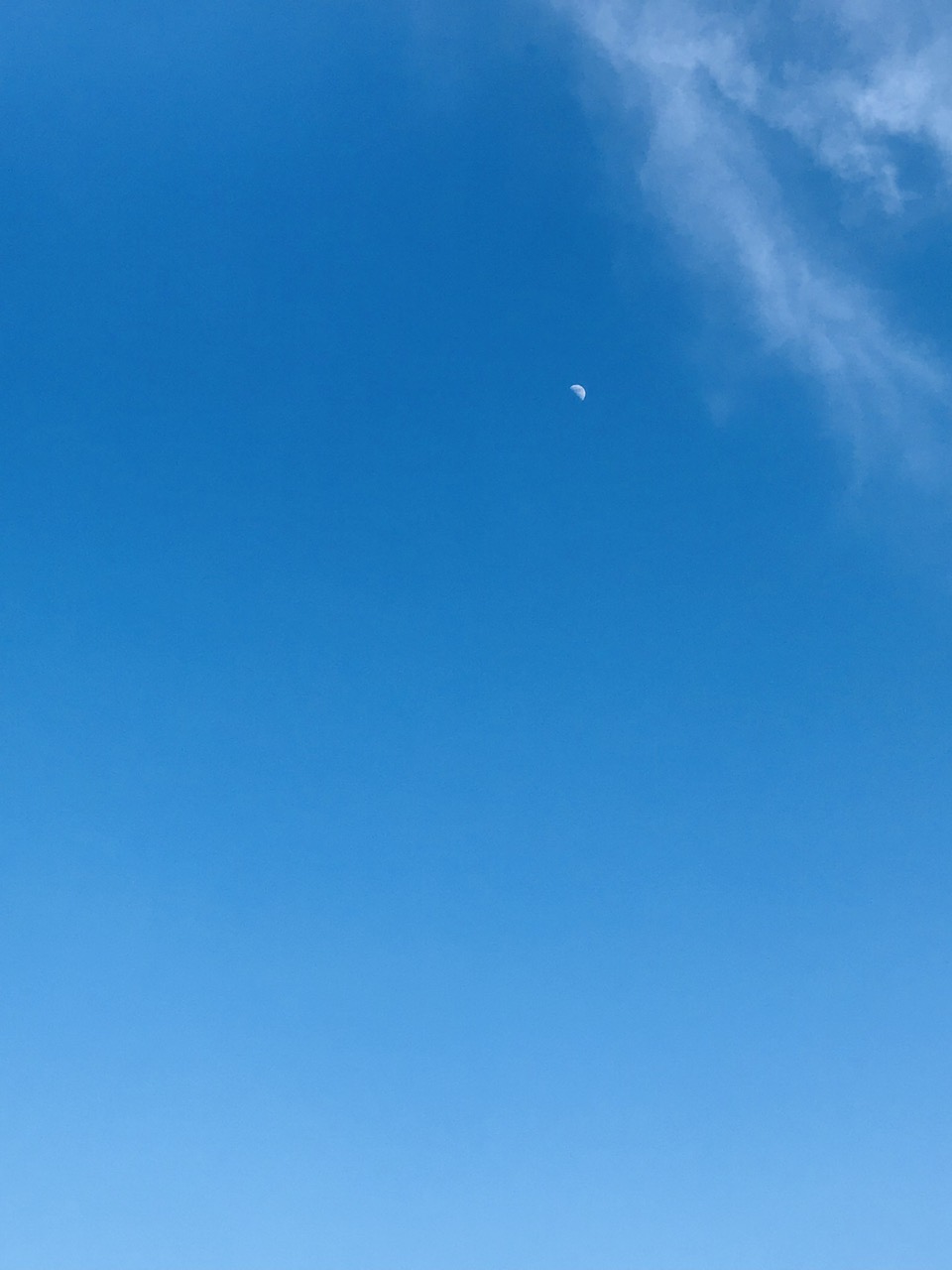 The sky in Phu Yen (note: this is an original, unedited photo) This is the afternoon sky, captured exactly at 3:07 p.m. on an iPhone while I was riding on the back of a motorbike going 70 km/h. And yet, there was the moon in the sky. I think the mere existence of that is already art.