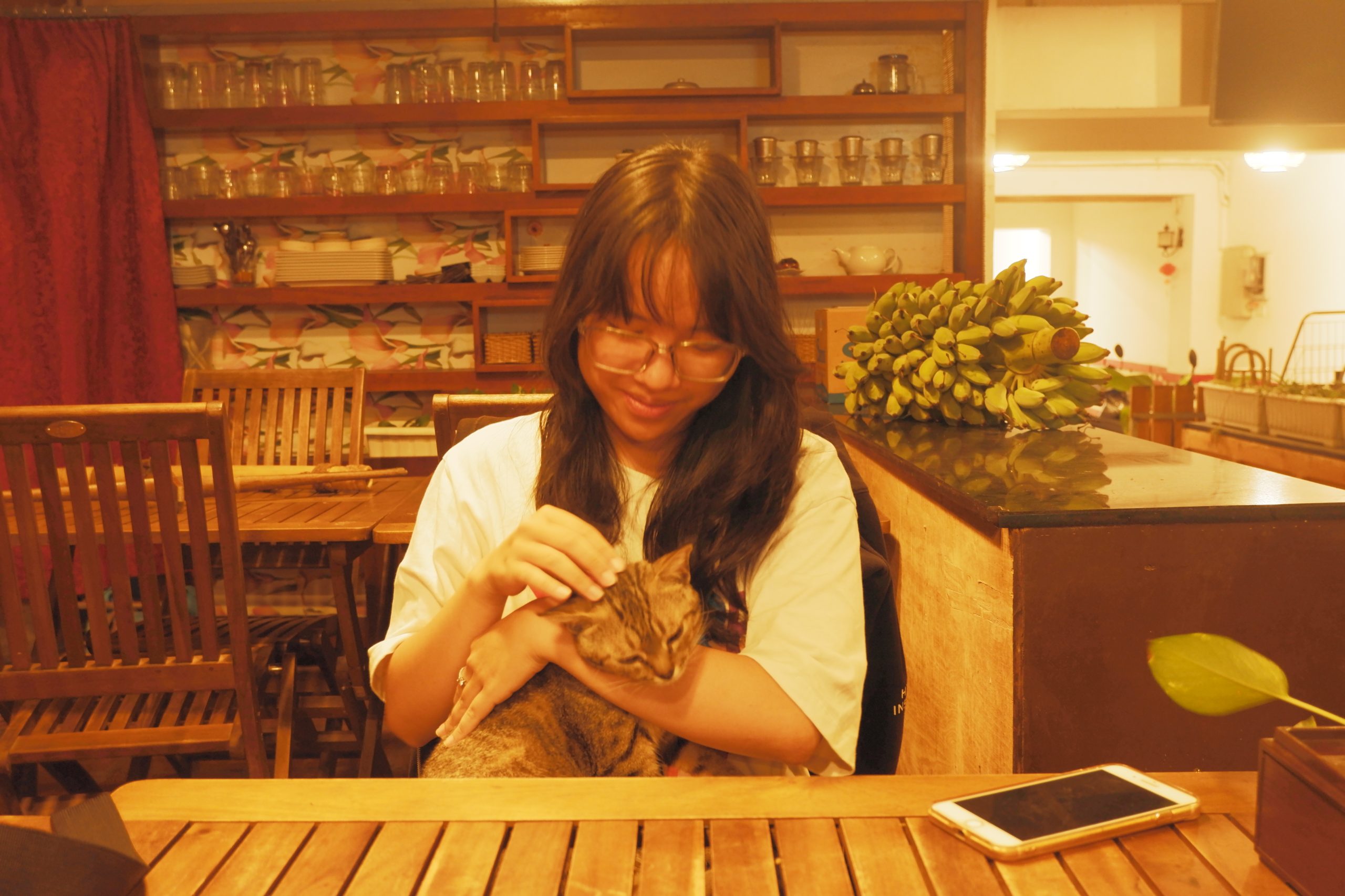 Just me with a cat that was raised in a vegetarian restaurant along the coastline of Nha Trang.